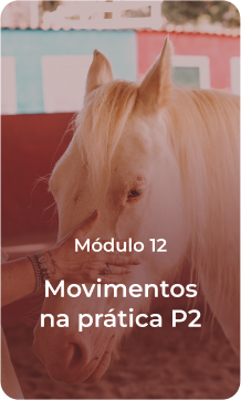 capa-12
