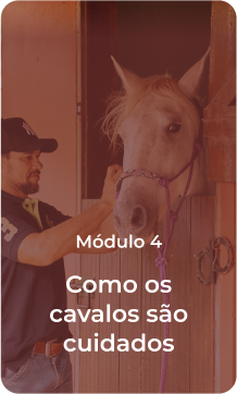 capa-4